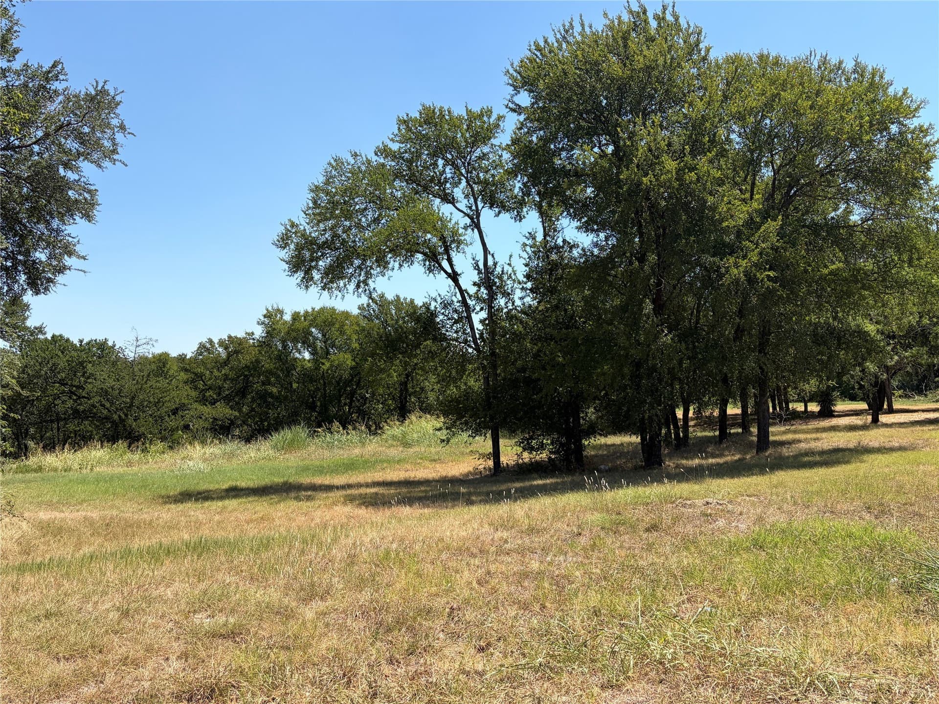 1.56 acres in Dallas County - photo 3