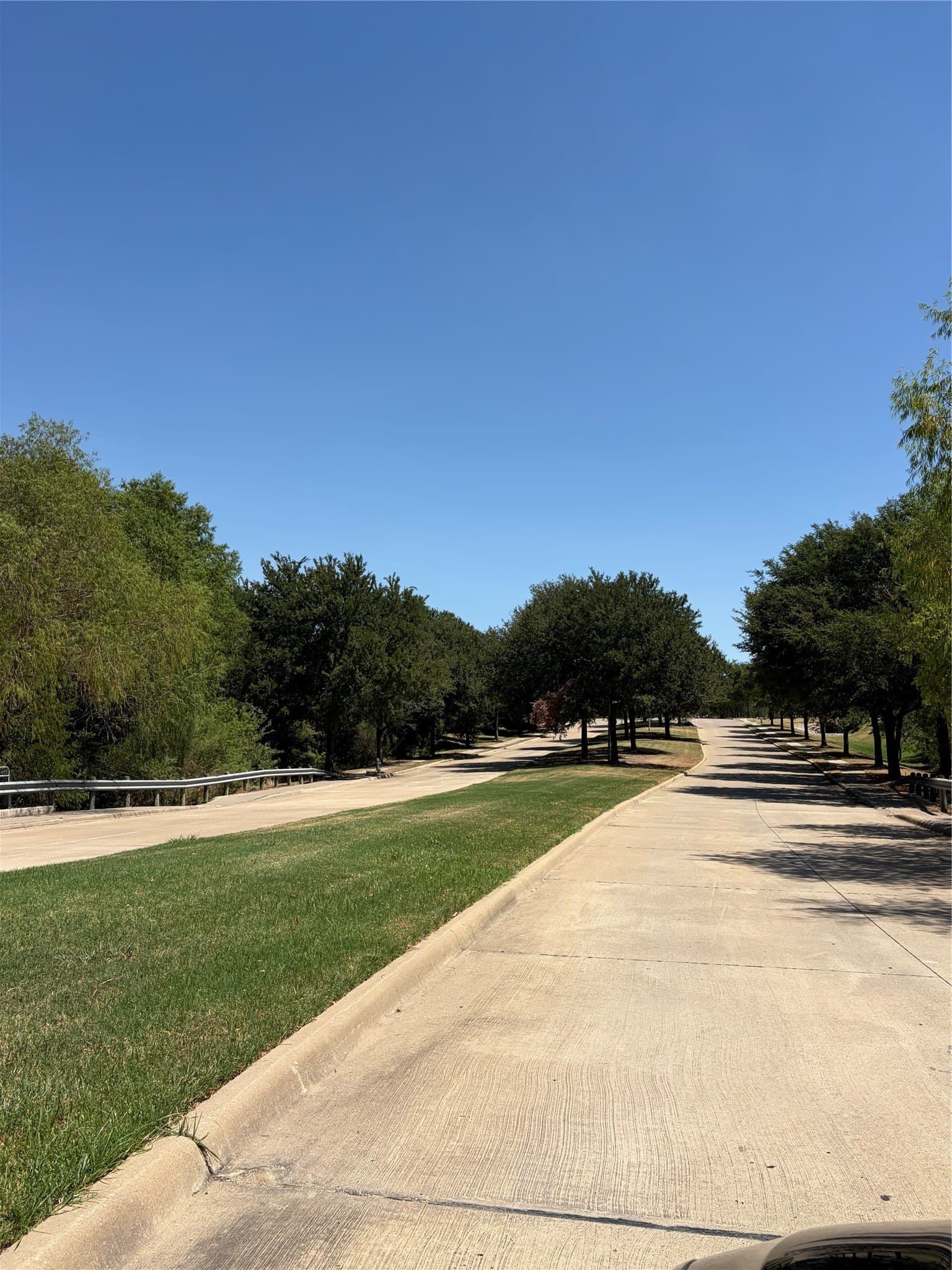 1.56 acres in Dallas County - photo 8