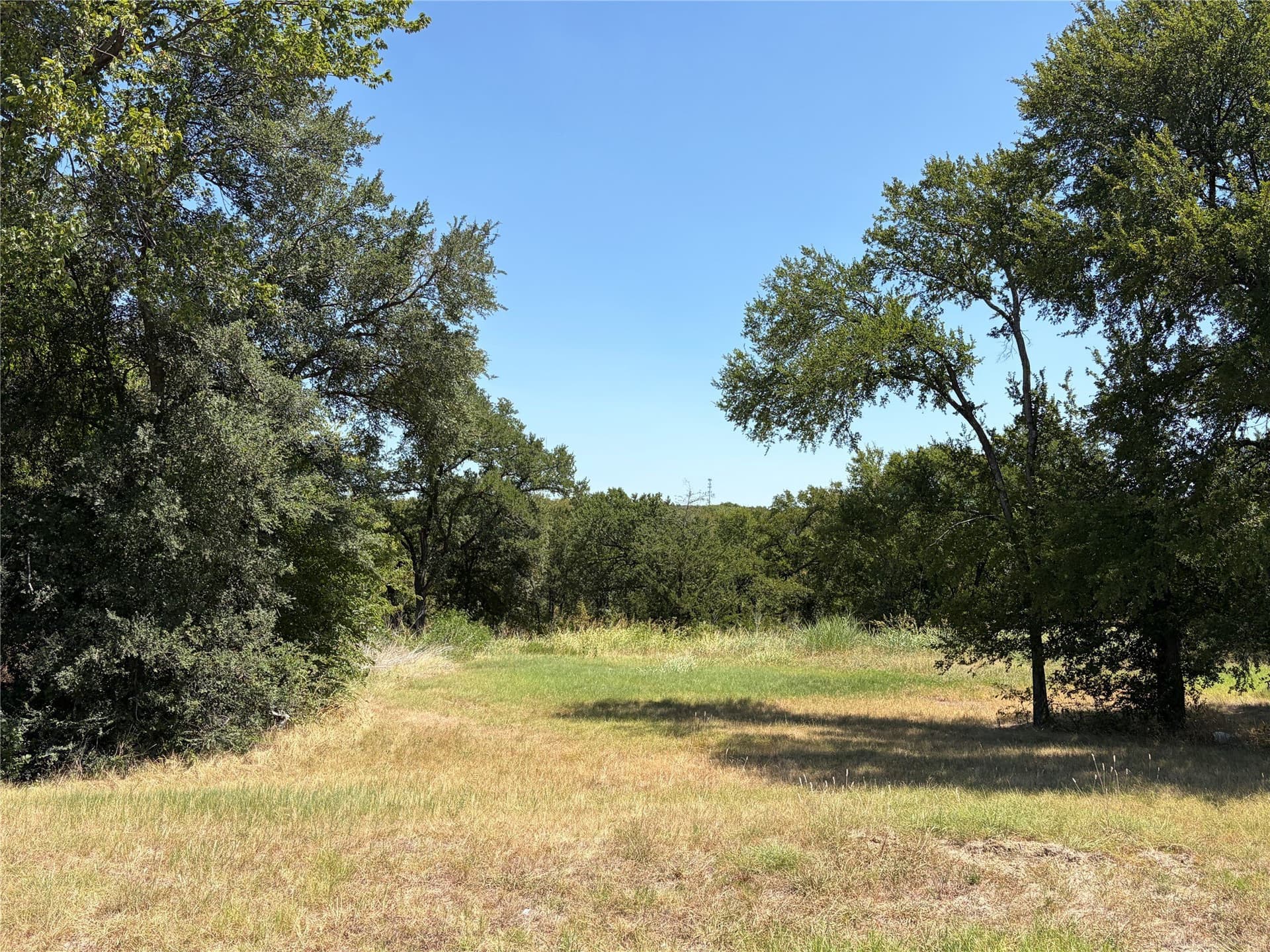 1.56 acres in Dallas County