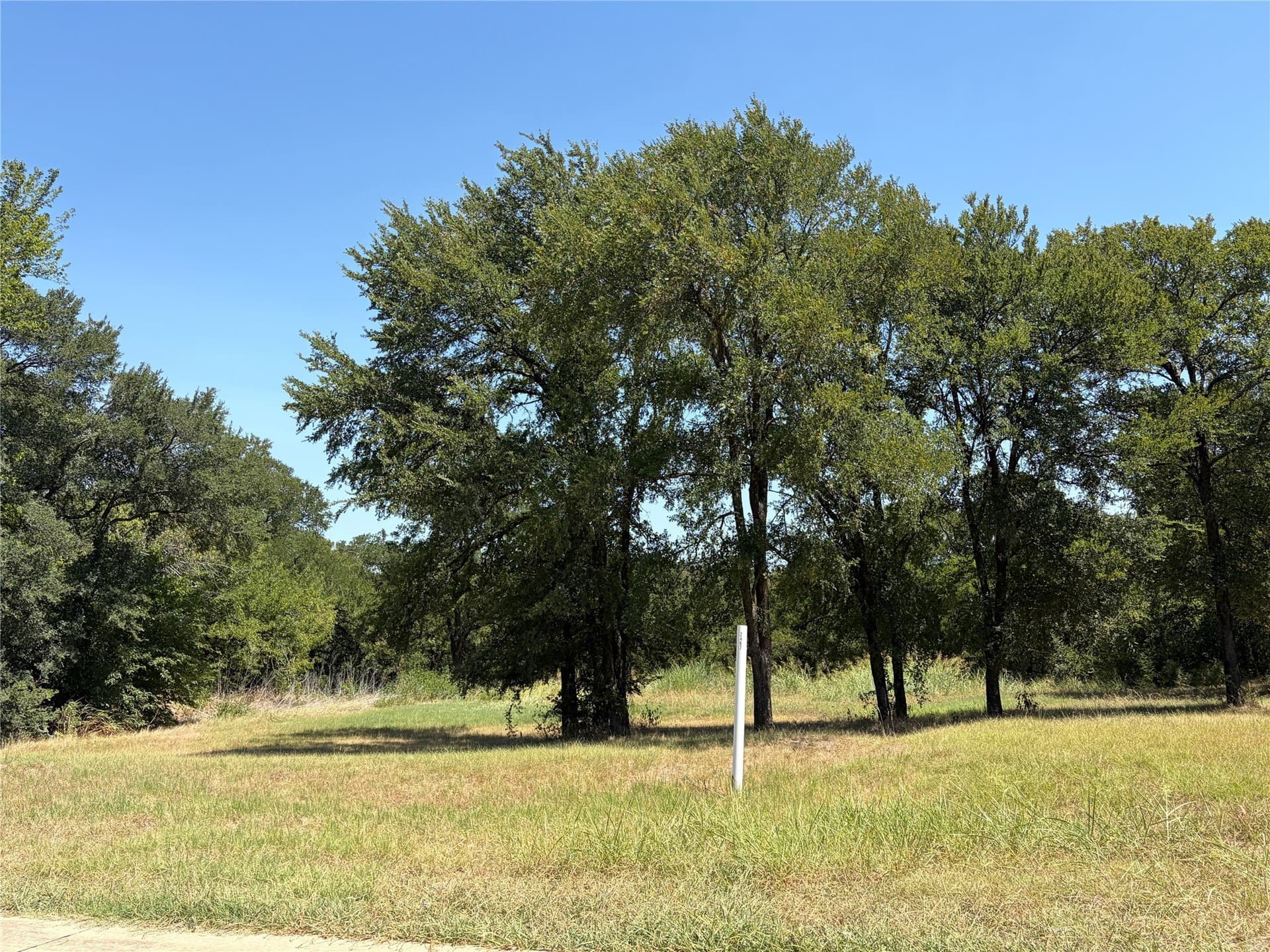 1.56 acres in Dallas County - photo 5