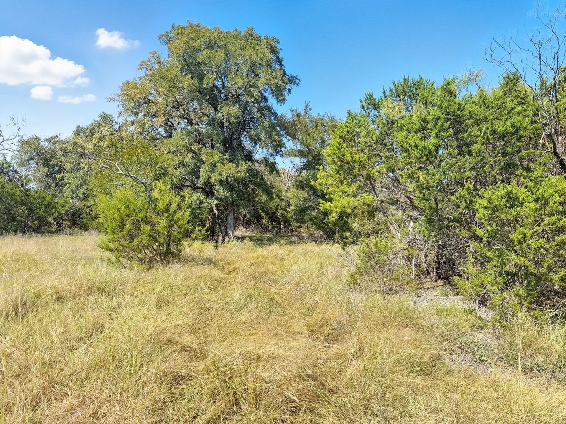 14.68 acres in Hamilton County gallery image 2