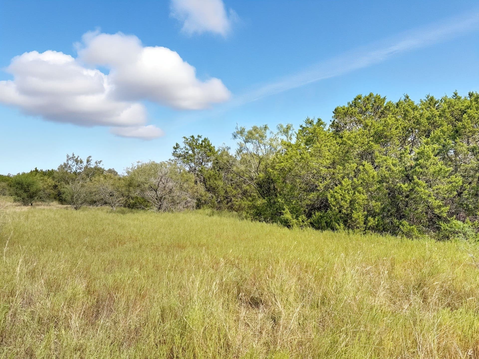 14.68 acres in Hamilton County - photo 9