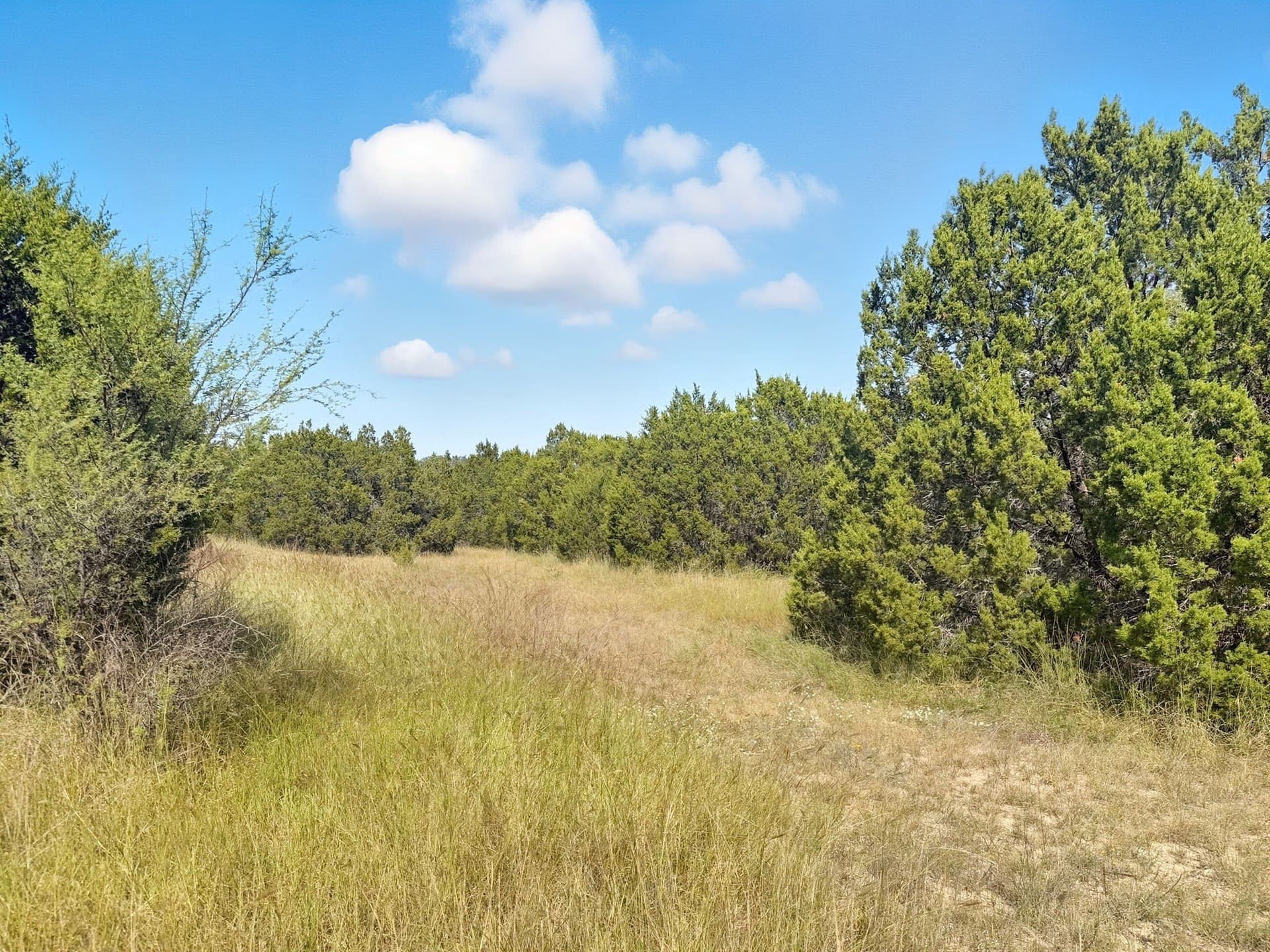 14.68 acres in Hamilton County - photo 12
