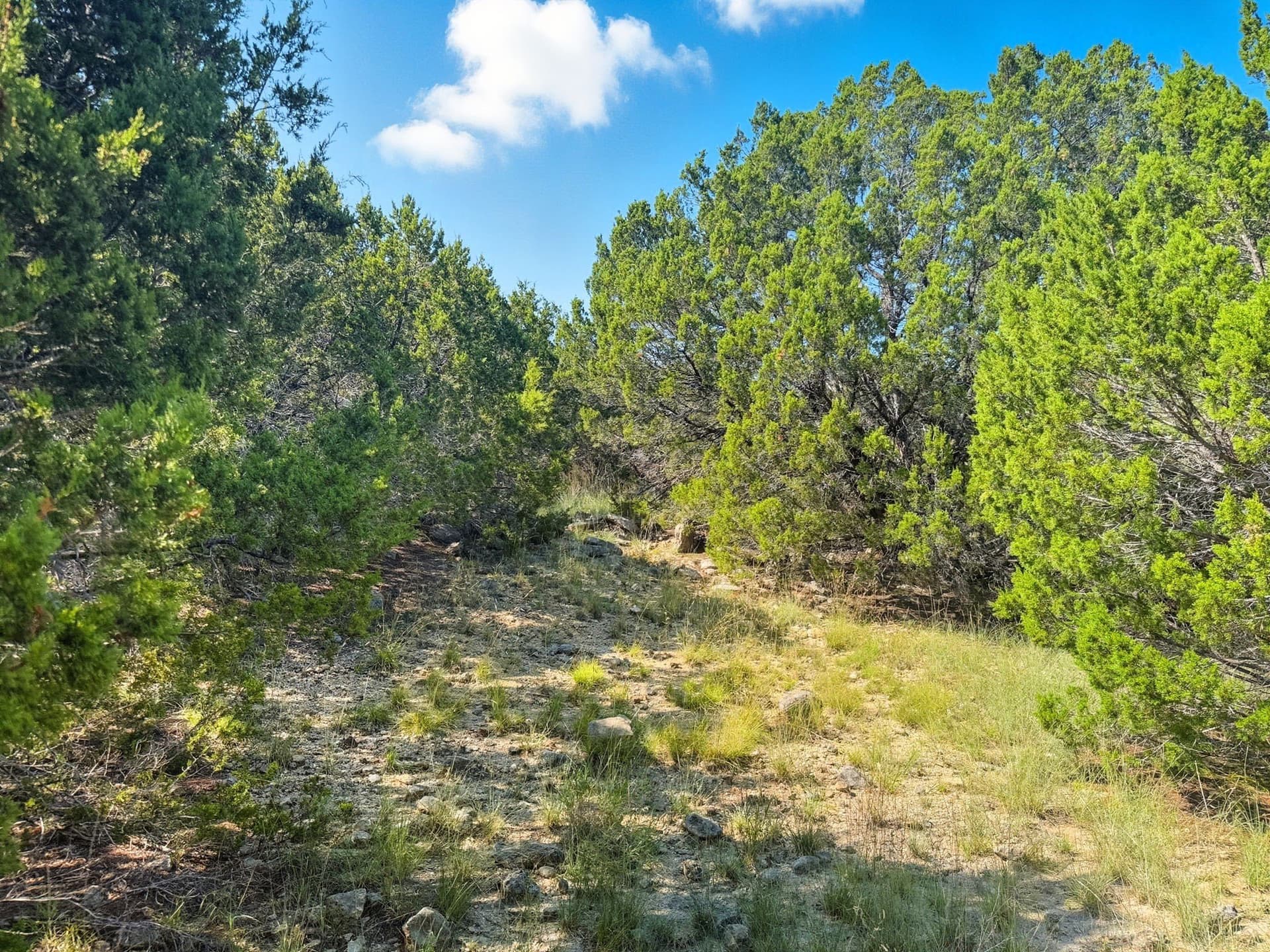 14.68 acres in Hamilton County - photo 6