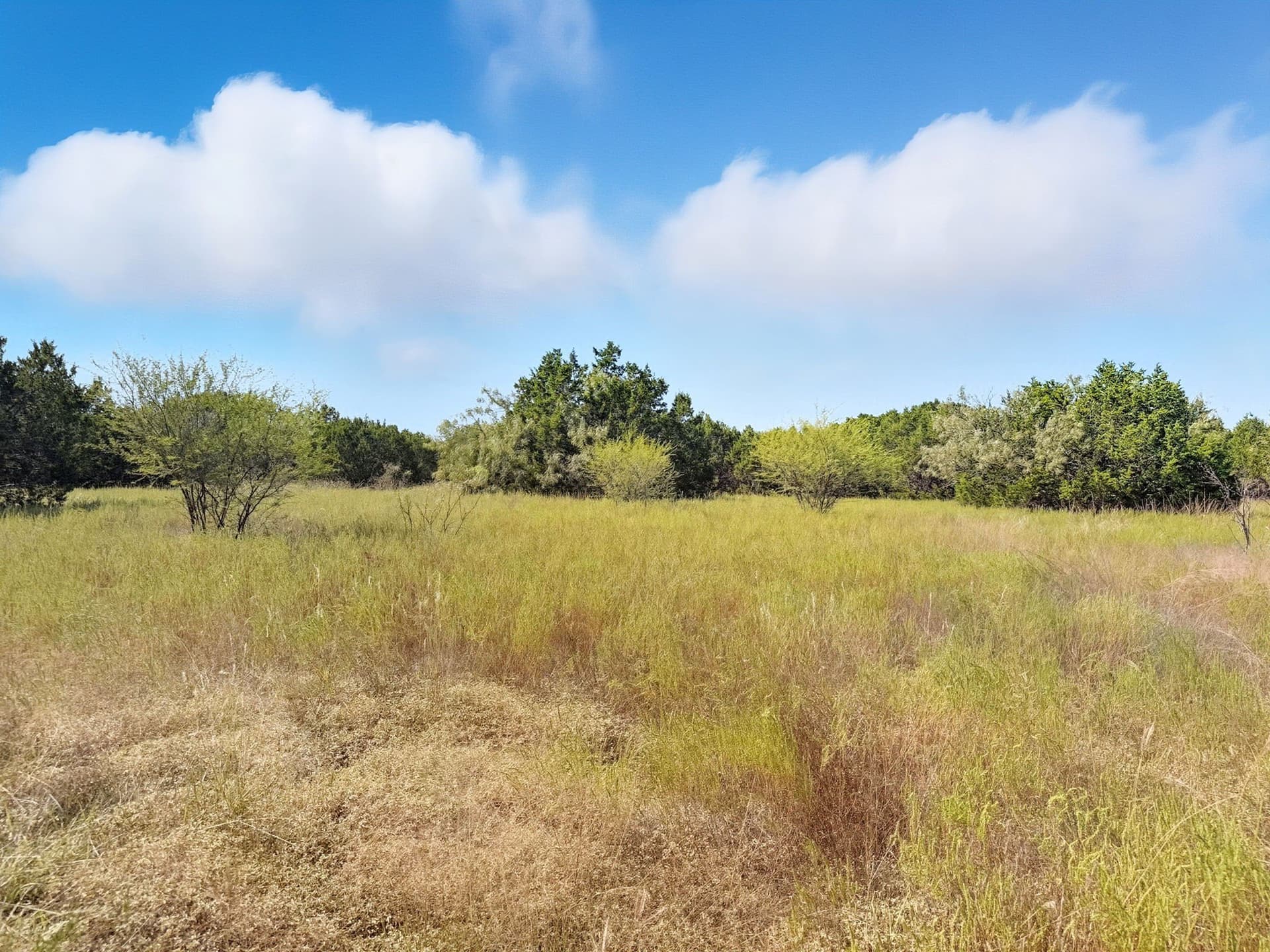 14.68 acres in Hamilton County - photo 14