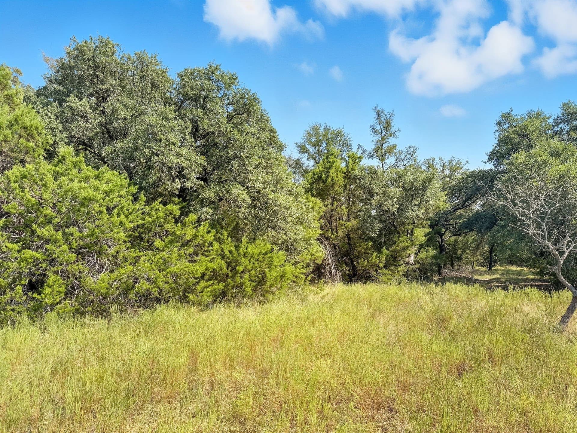 14.68 acres in Hamilton County gallery image 3