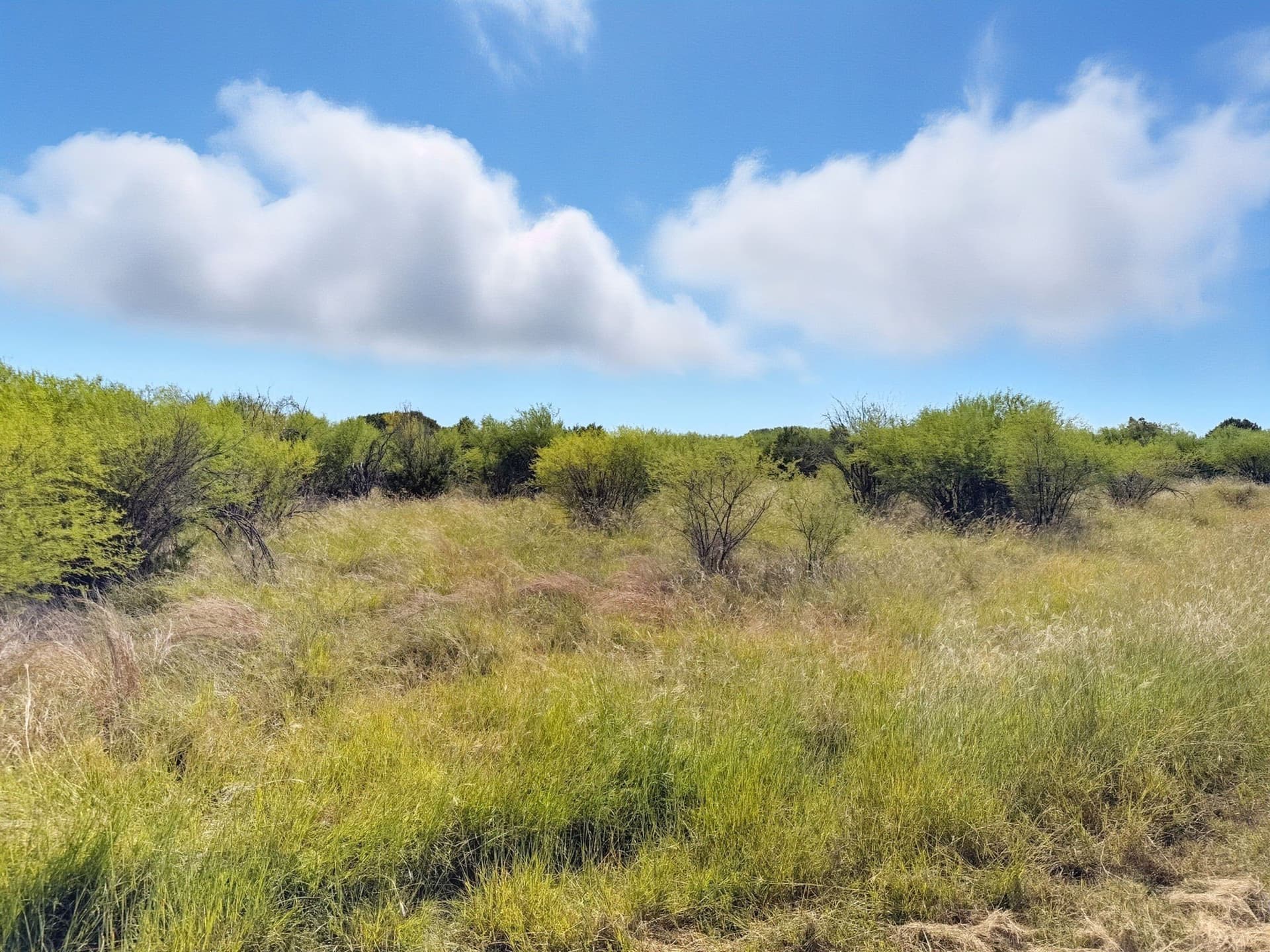 14.68 acres in Hamilton County - photo 20