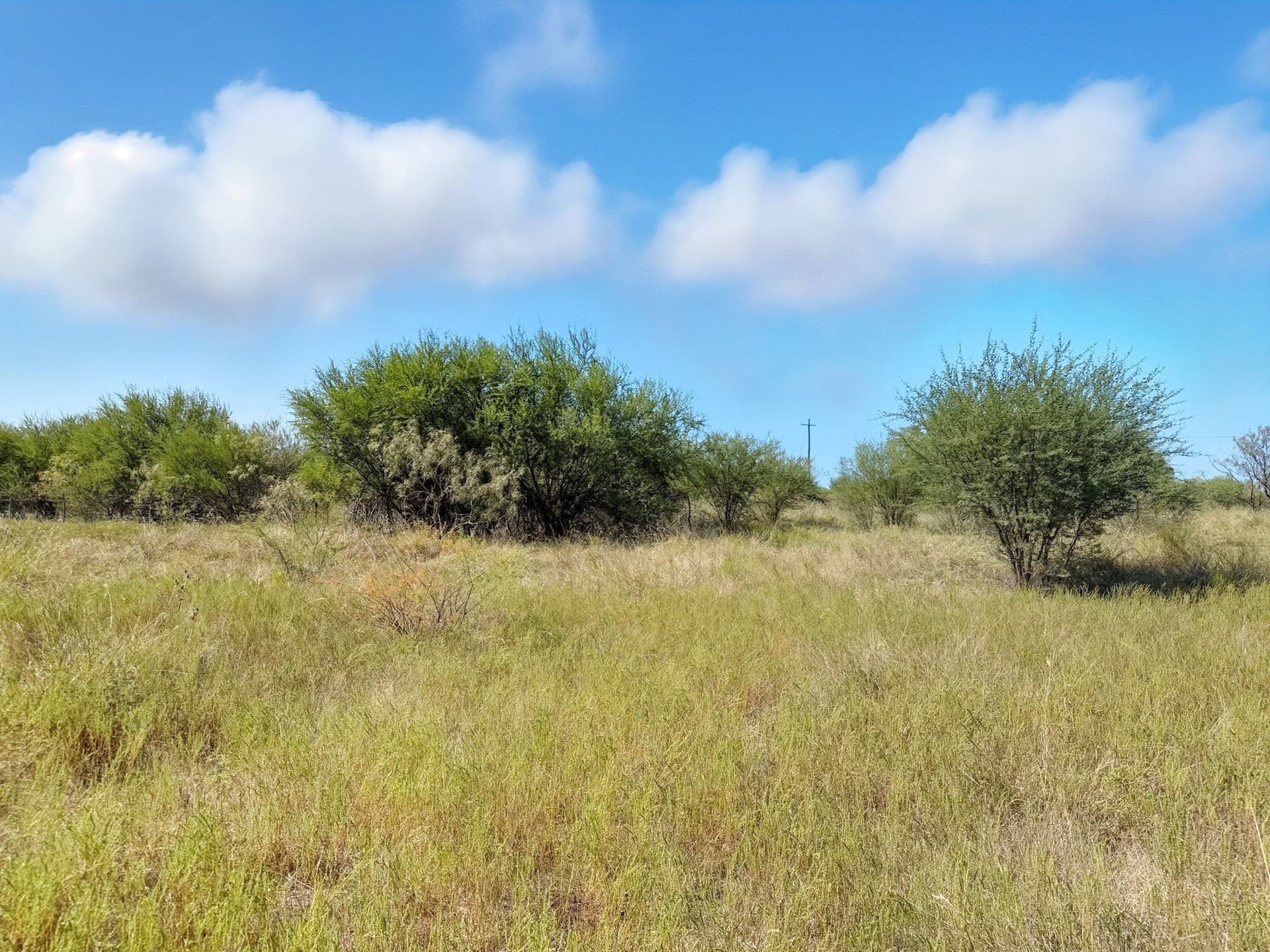 14.68 acres in Hamilton County - photo 18