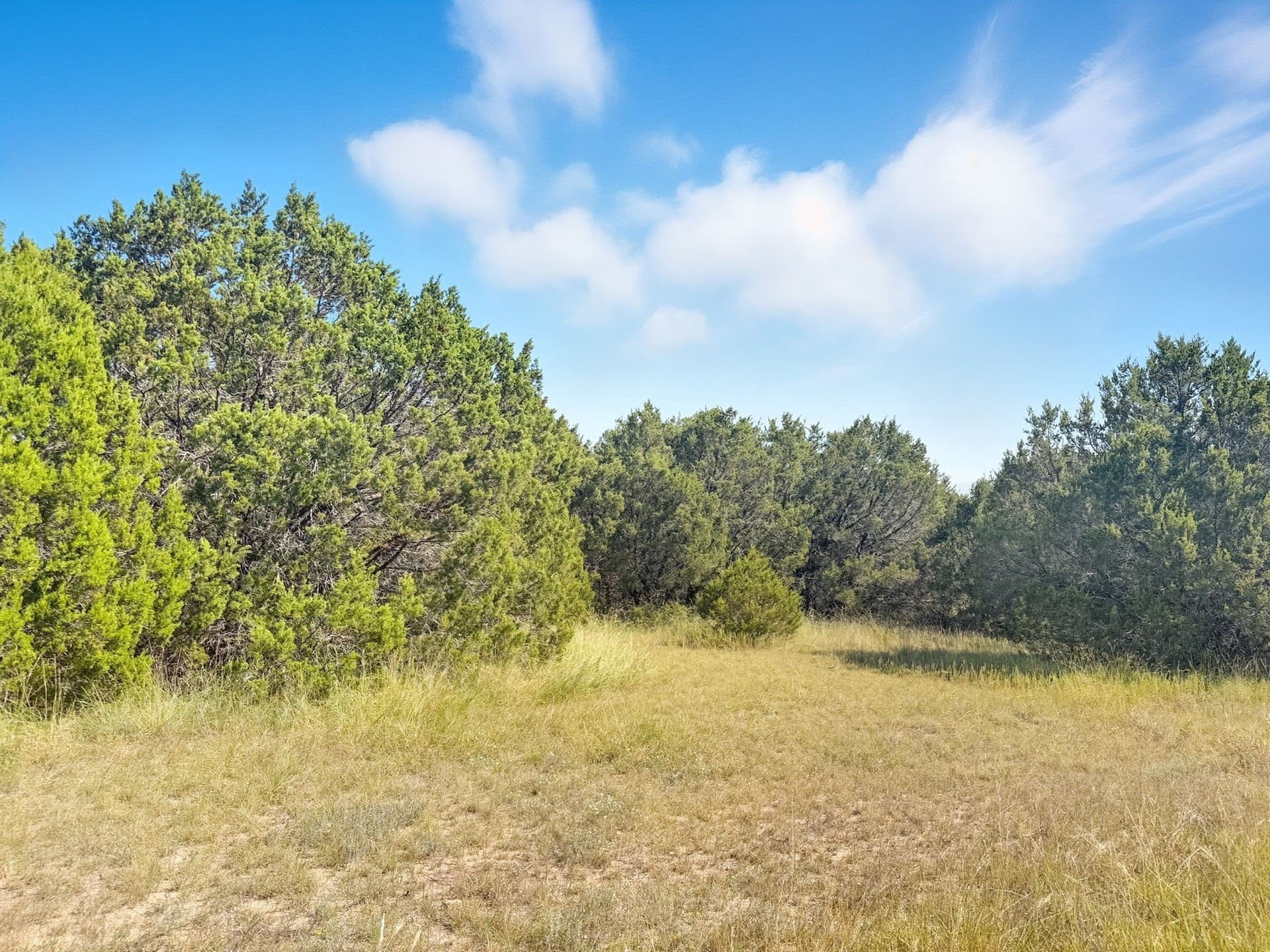 14.68 acres in Hamilton County - photo 11