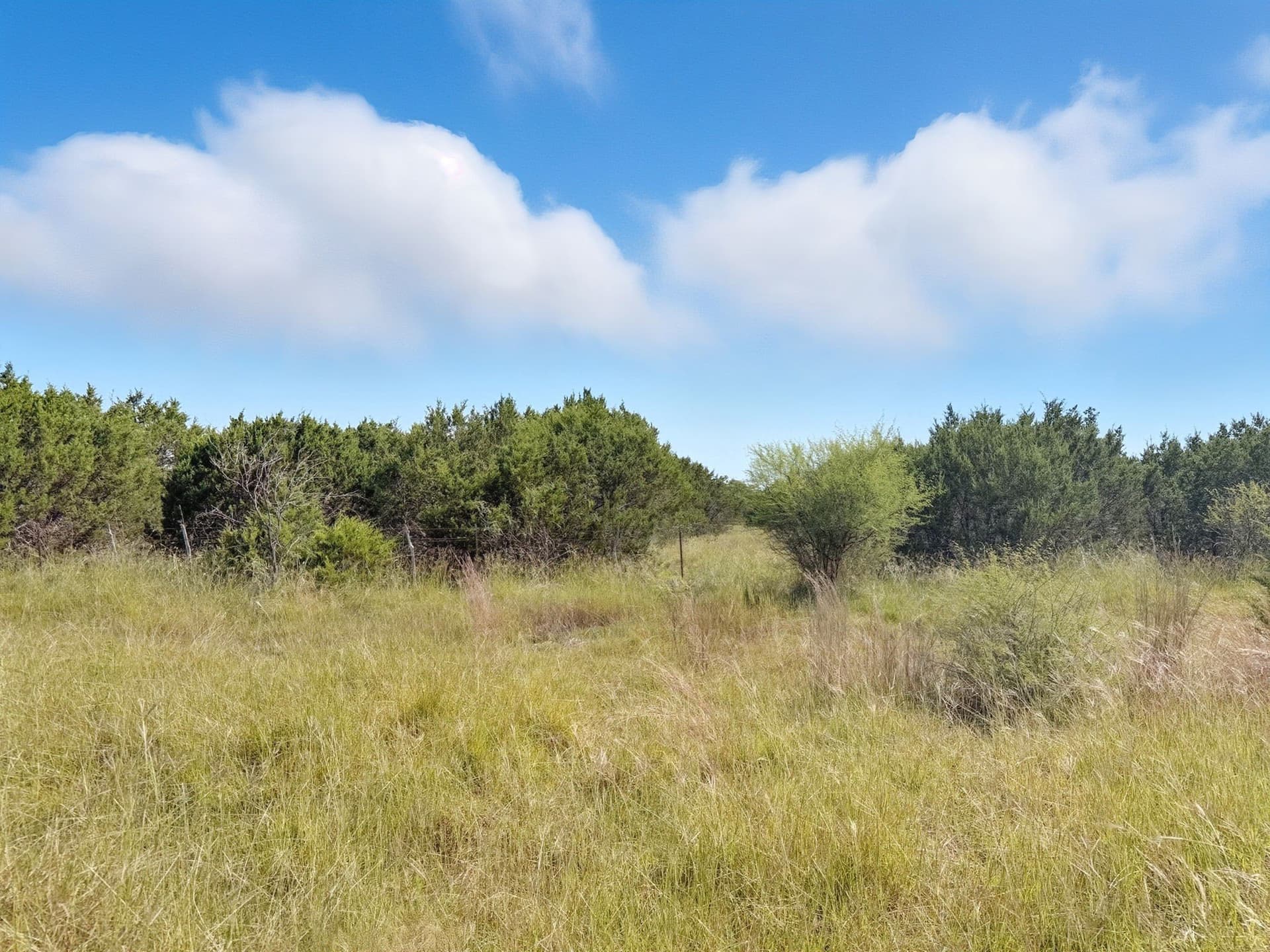 14.68 acres in Hamilton County featured view