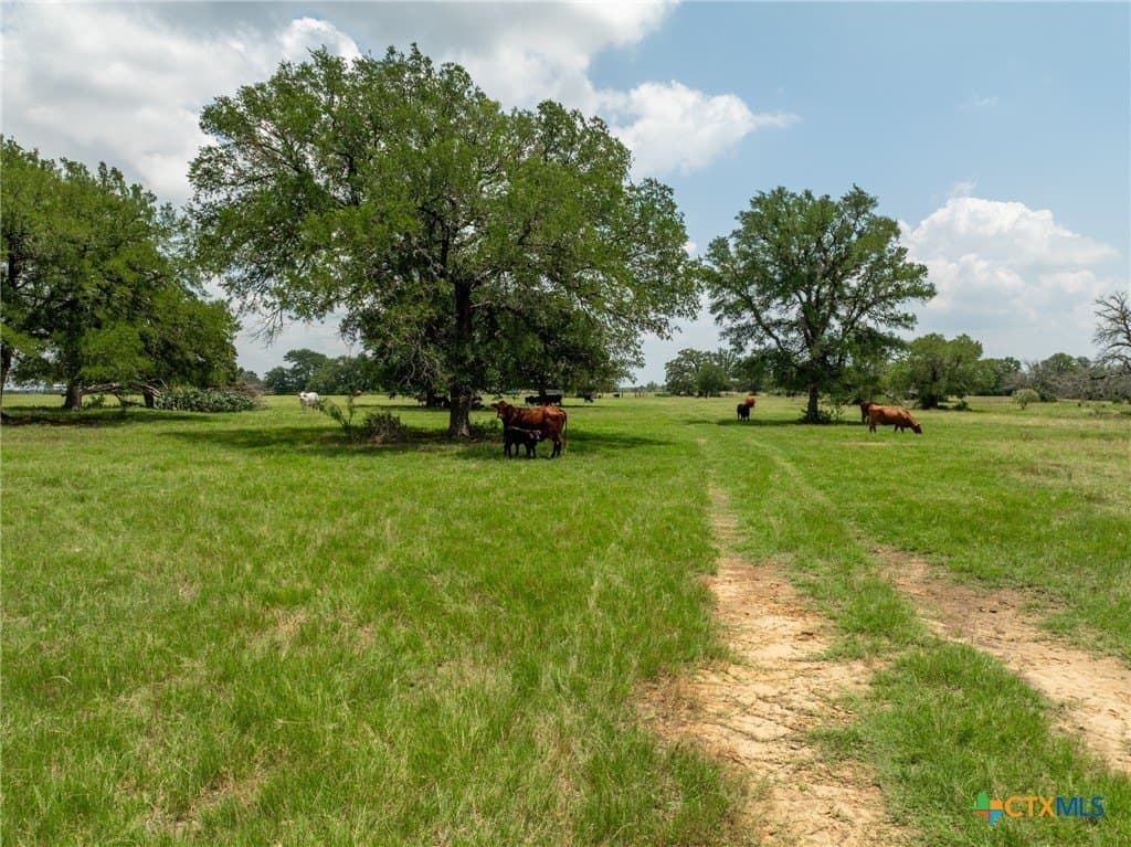 516.08 acres in Coryell County - photo 24