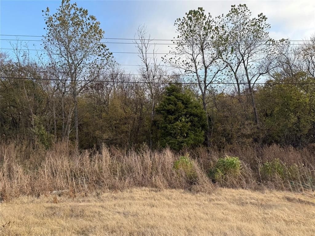 0.49 acres in Hunt County gallery image 2