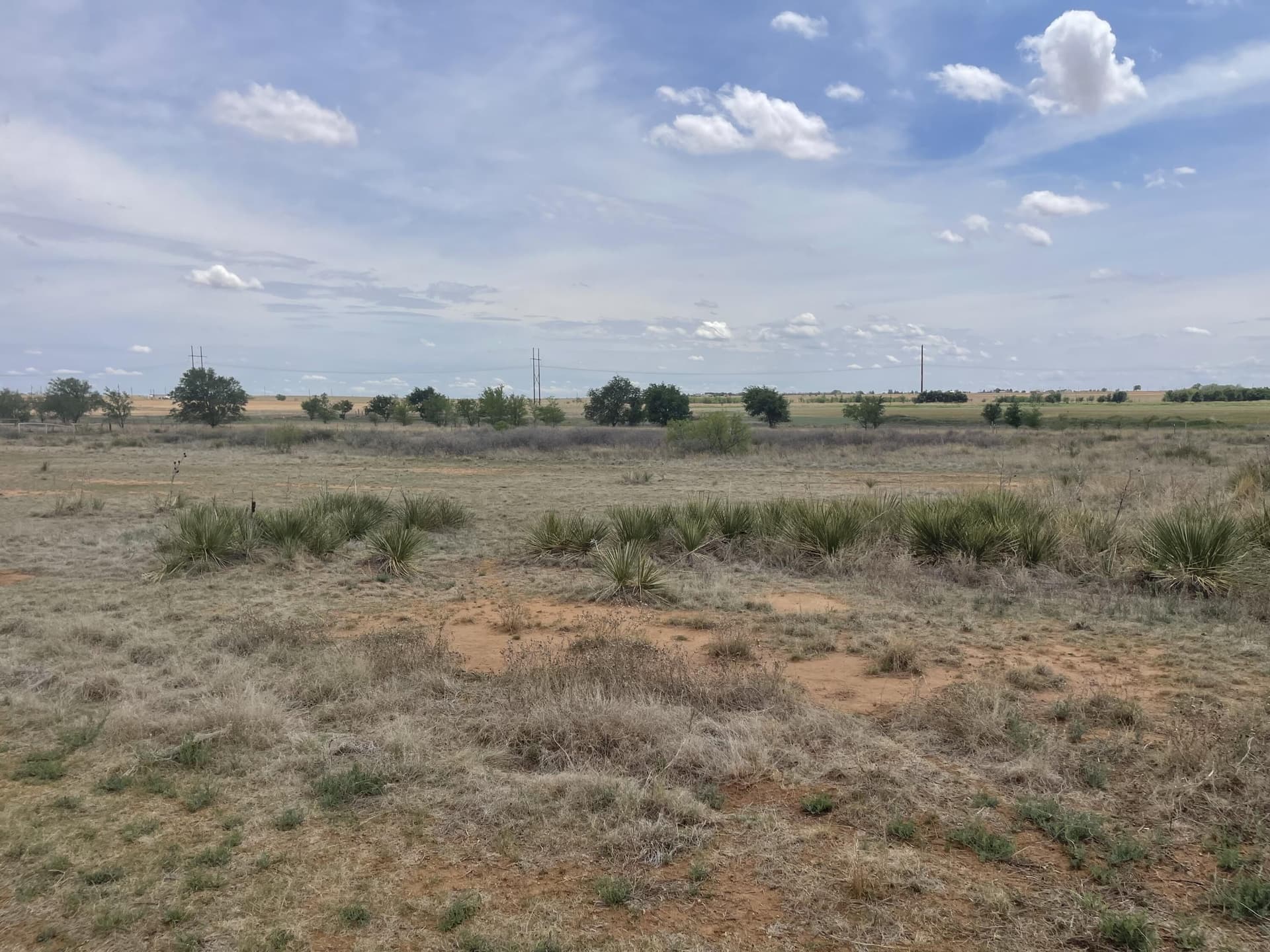 45.75 acres in Lubbock County - photo 18