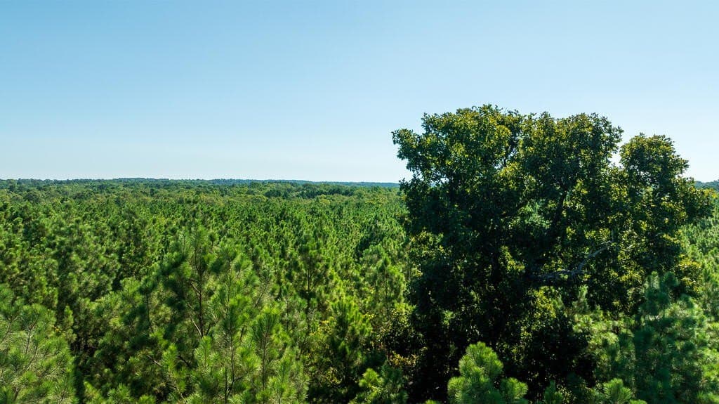 18.11 acres in Texas County - photo 8