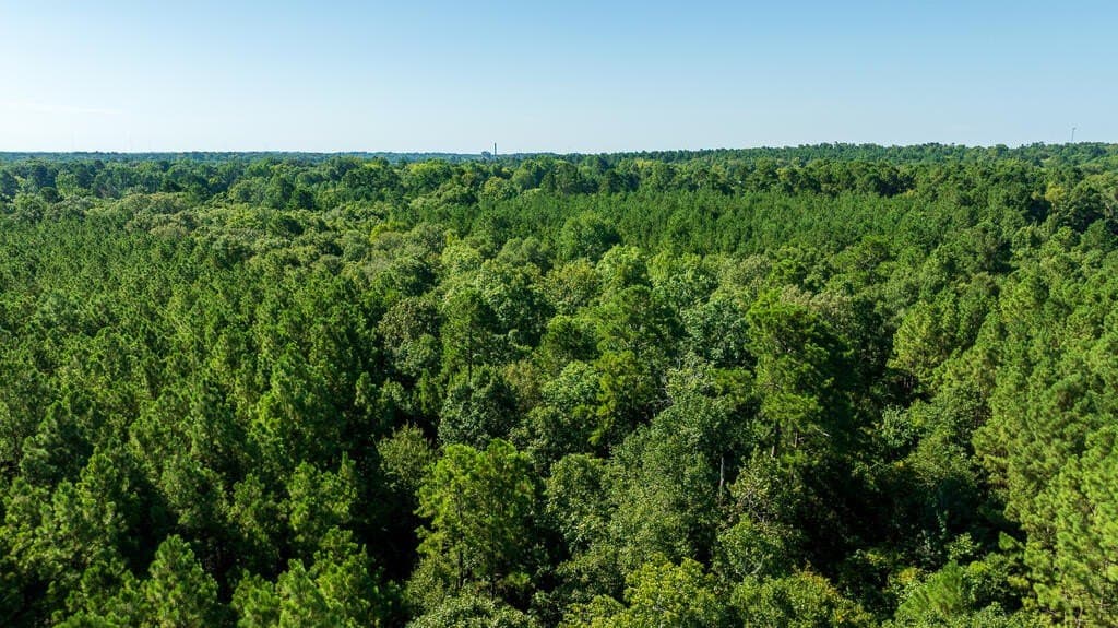 18.11 acres in Texas County - photo 6