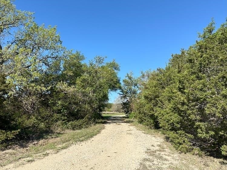 225 acres in Burnet County featured view