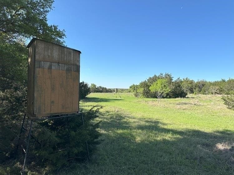 225 acres in Burnet County gallery image 4