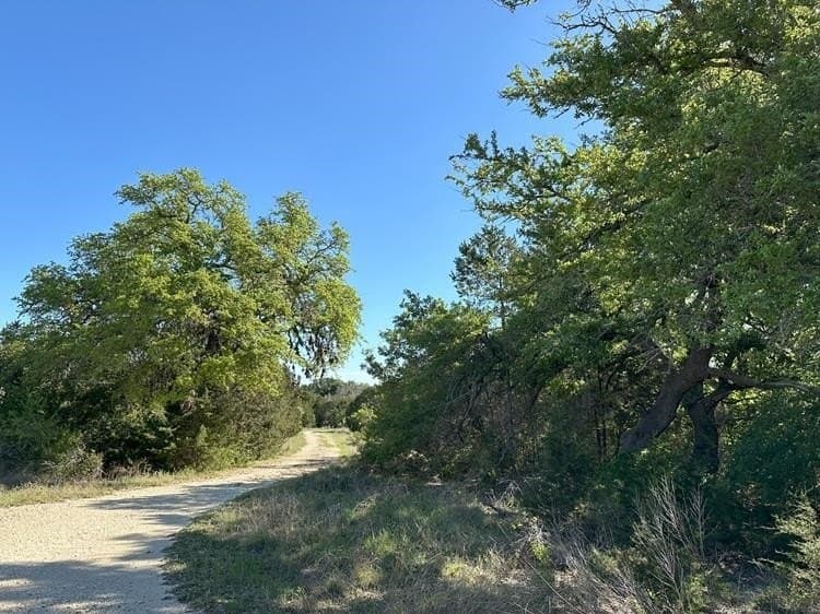 225 acres in Burnet County