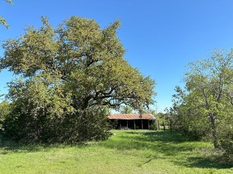 225 acres in Burnet County gallery image 3