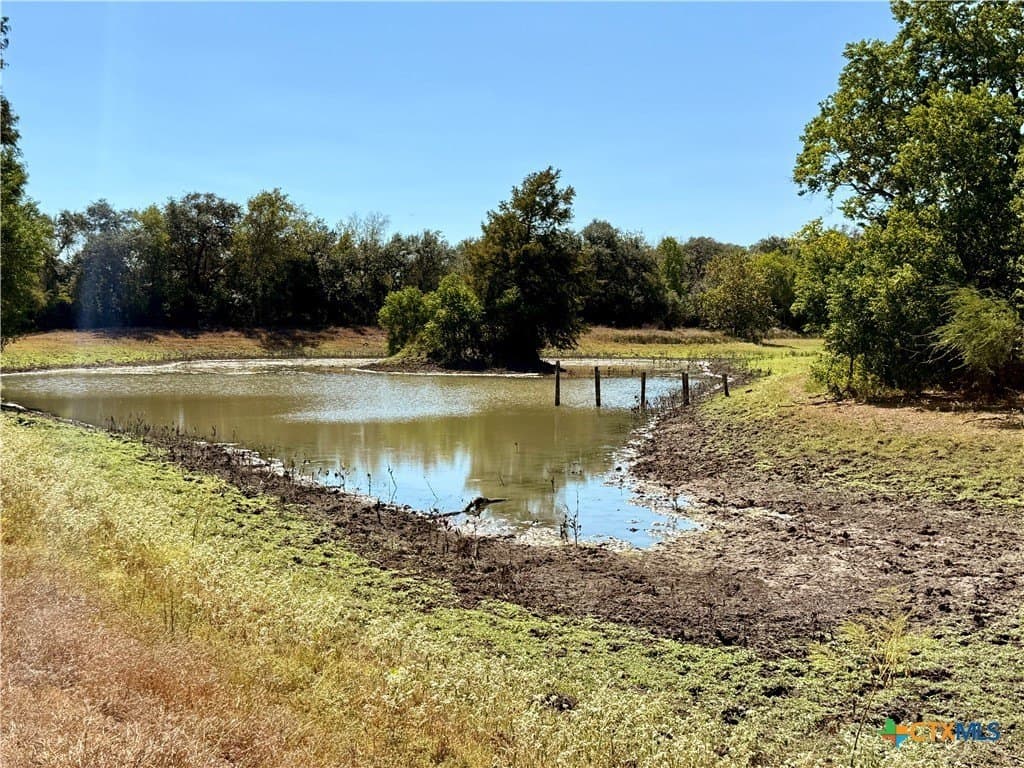 49.41 acres in DeWitt County - photo 25