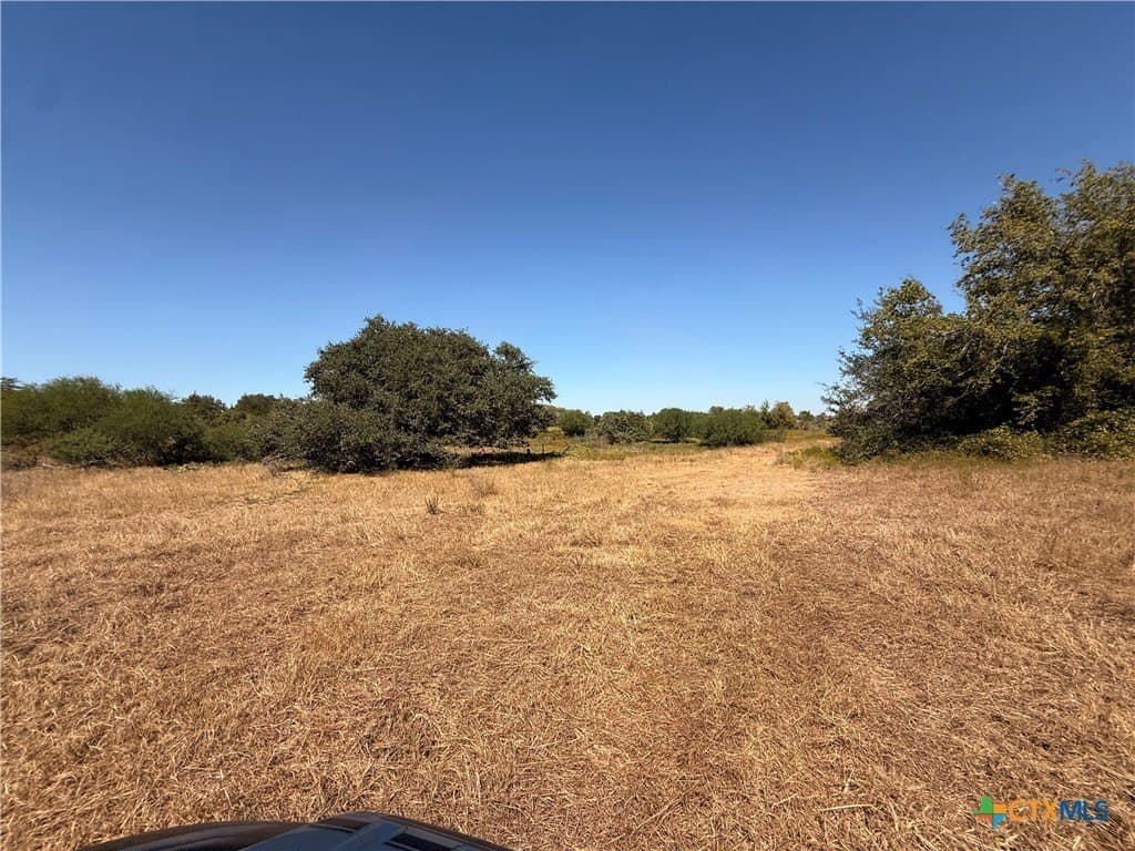 49.41 acres in DeWitt County - photo 23