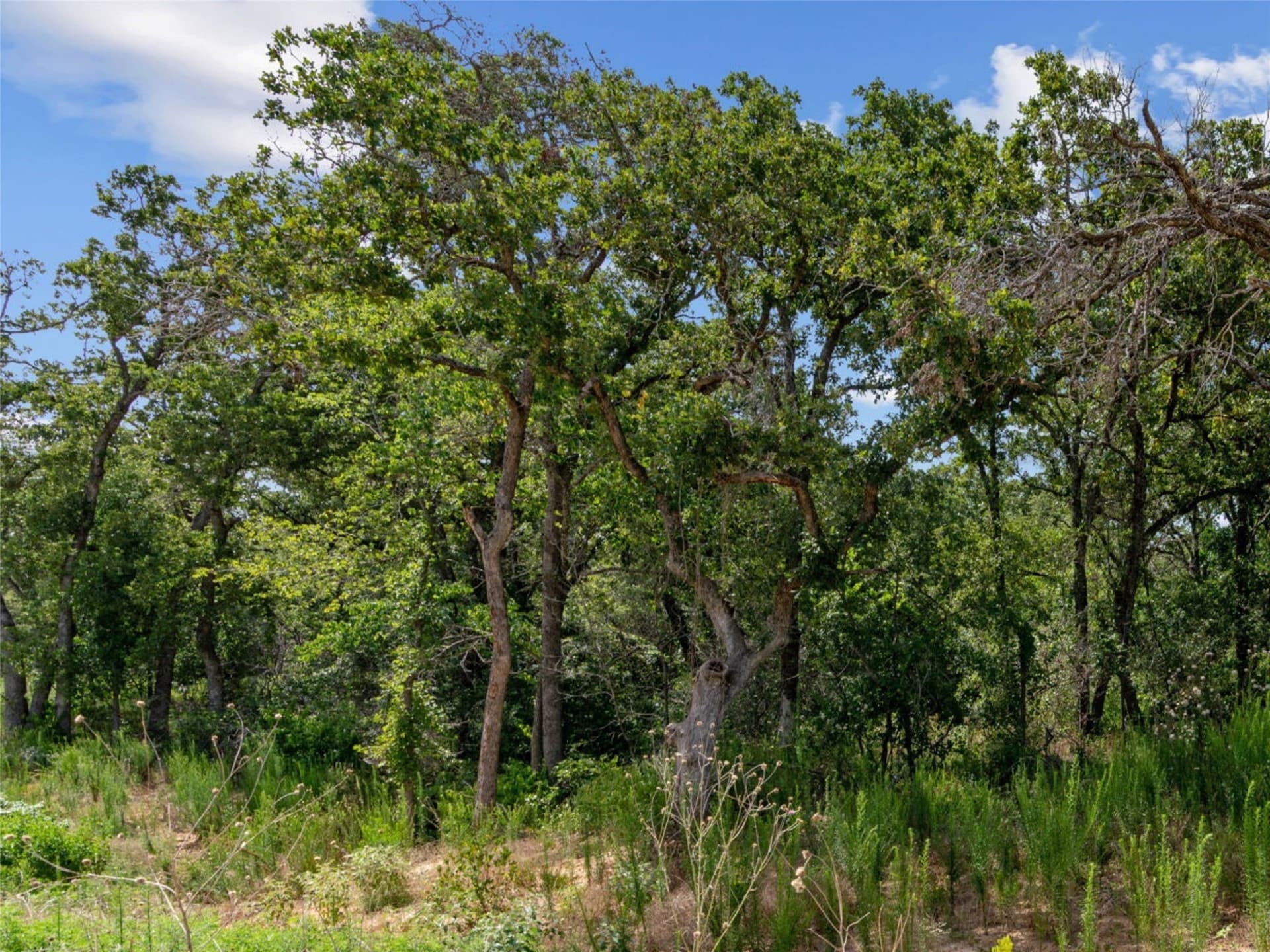2.1 acres in Parker County - photo 5