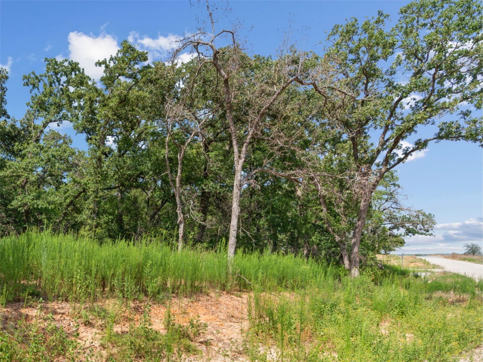 2.1 acres in Parker County - photo 3