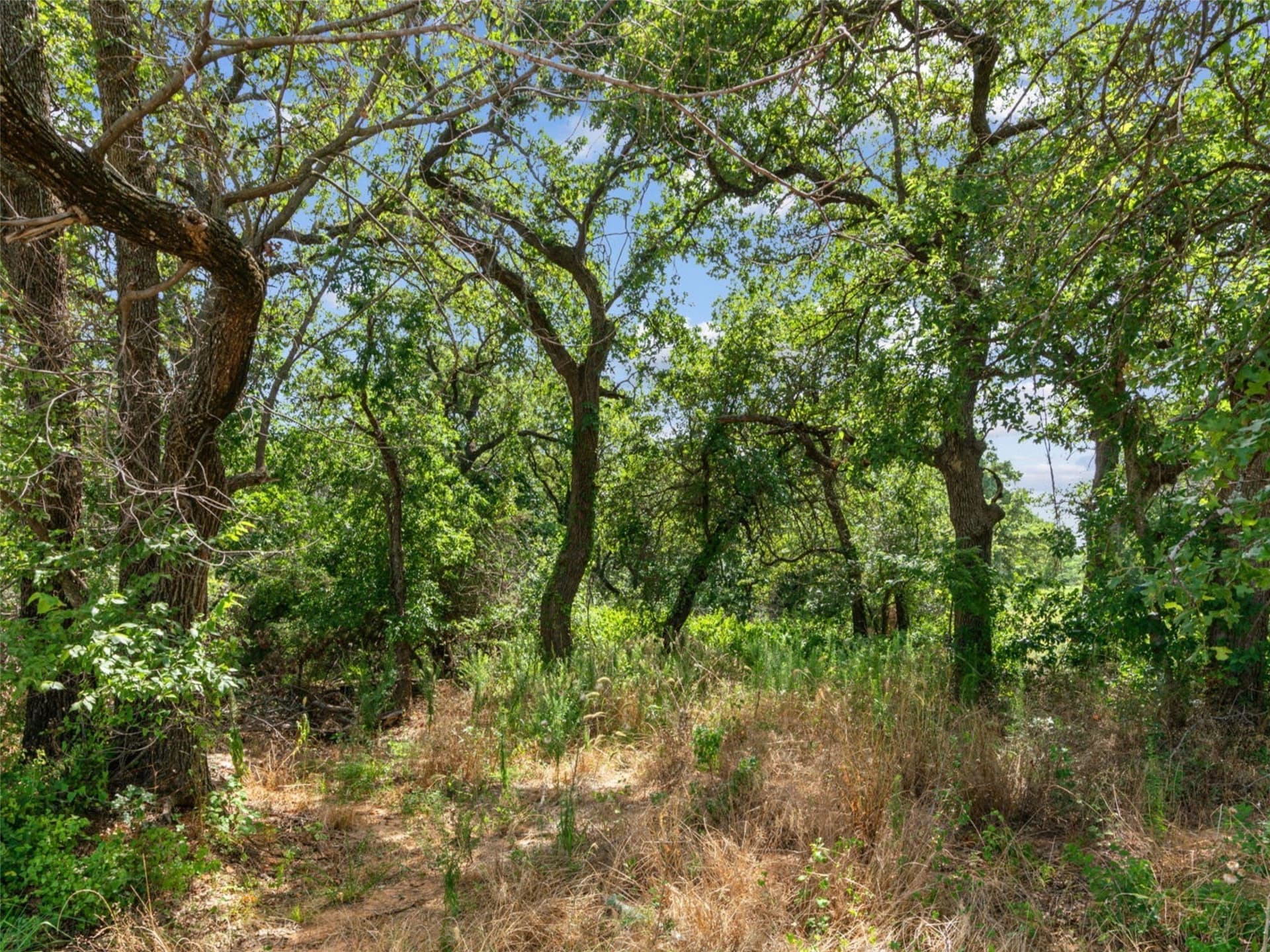 2.1 acres in Parker County - photo 4