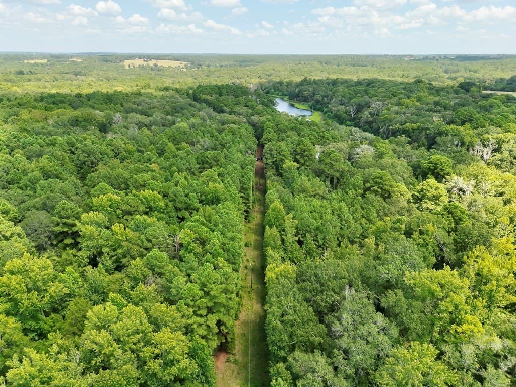 11.34 acres in ANDERSON County - photo 15