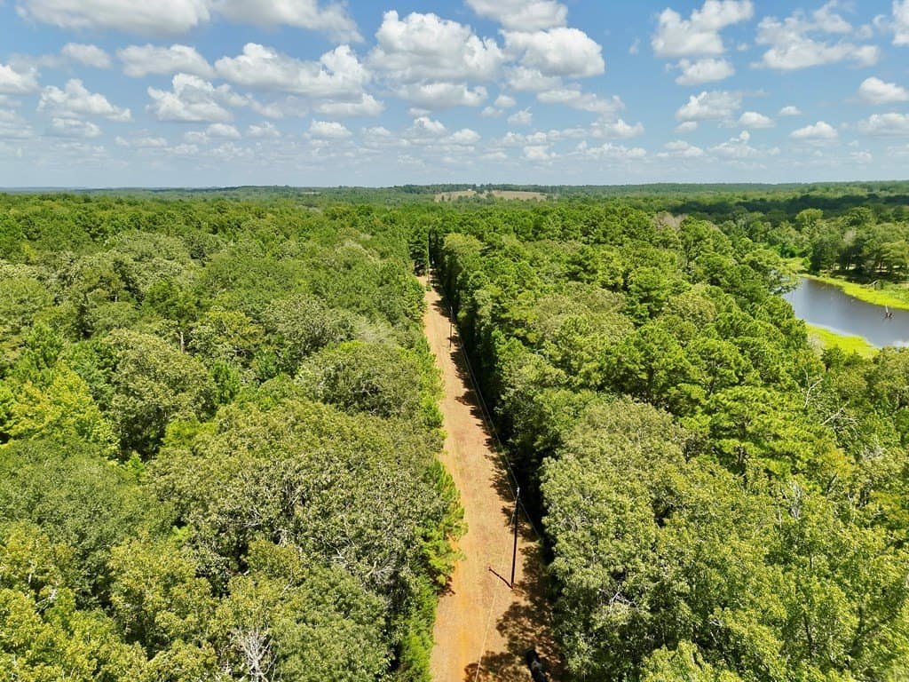 11.34 acres in ANDERSON County - photo 12