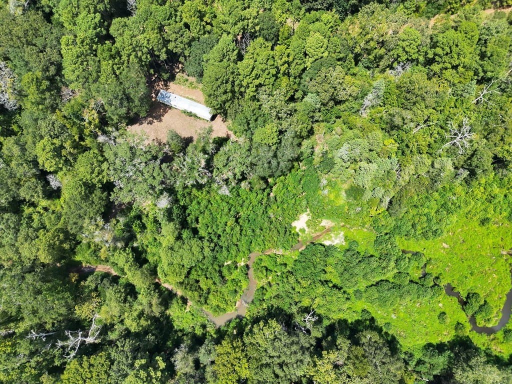 11.34 acres in ANDERSON County - photo 9