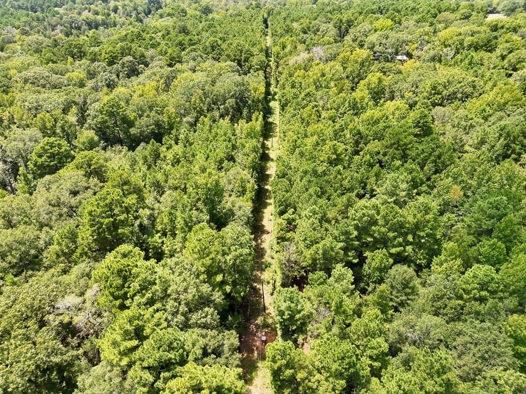 11.34 acres in ANDERSON County - photo 13