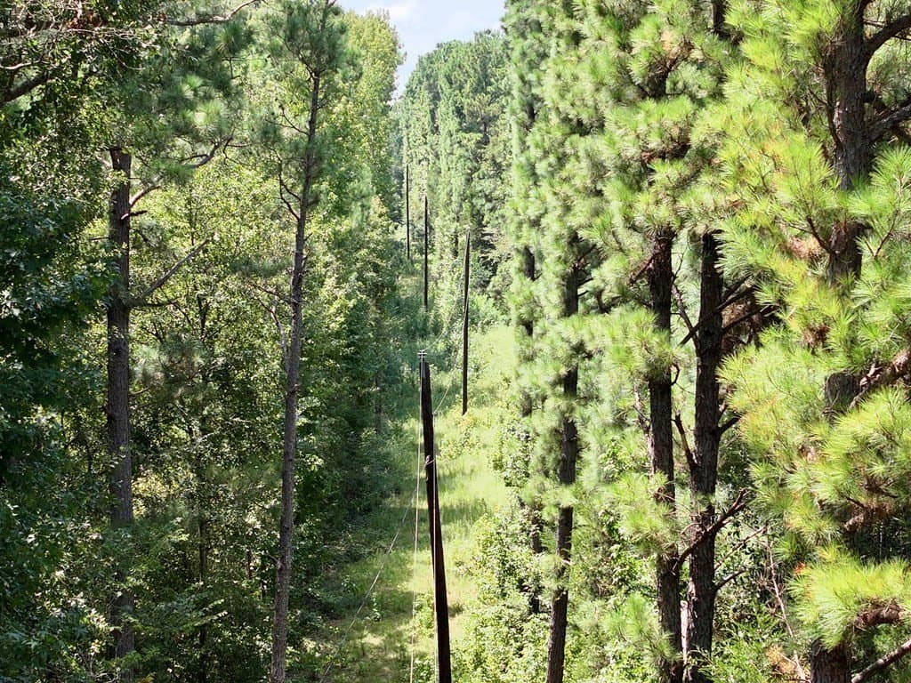 11.34 acres in ANDERSON County - photo 10