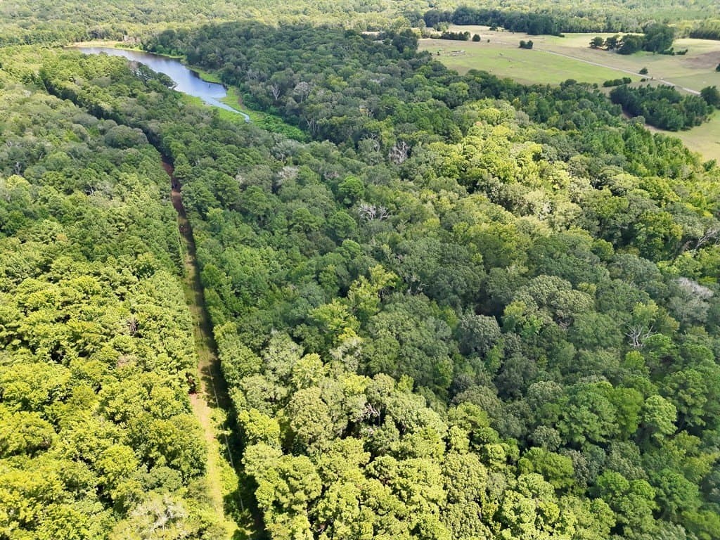 11.34 acres in ANDERSON County - photo 7