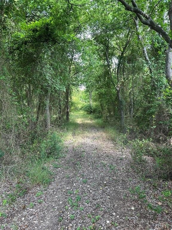 18 acres in Johnson County gallery image 4