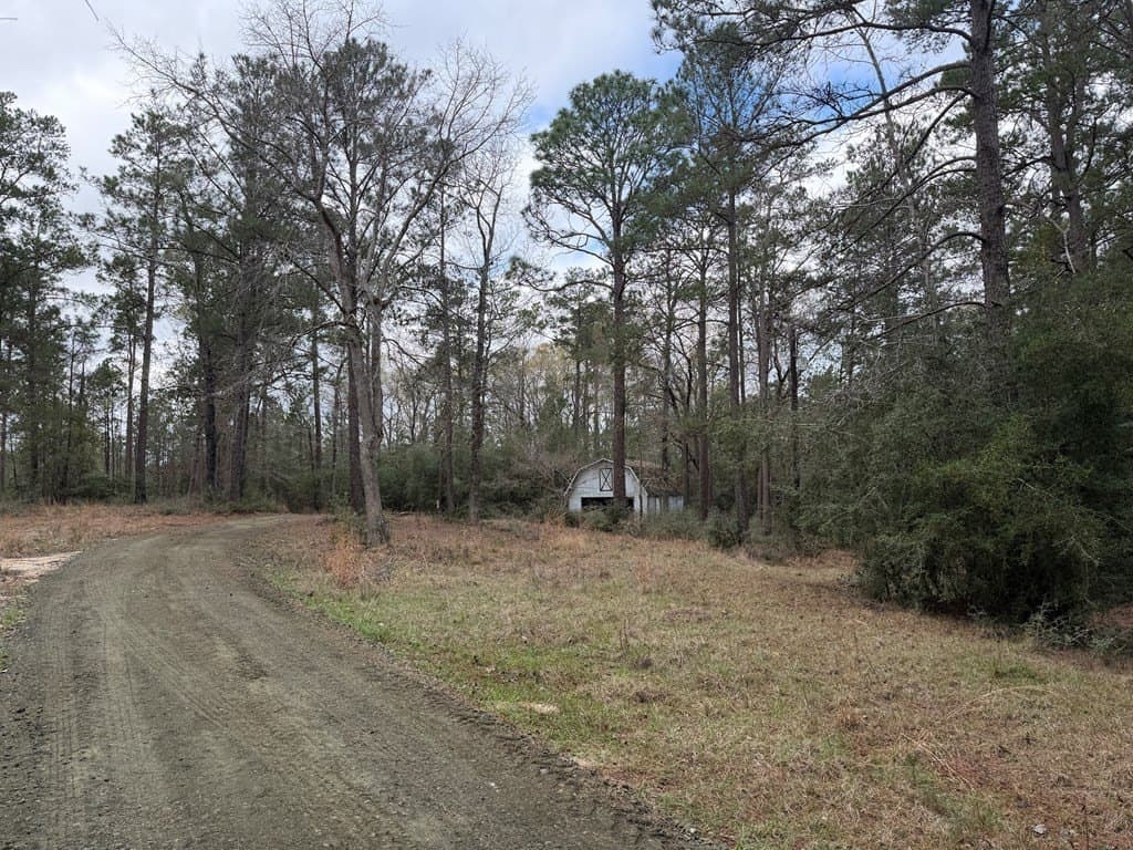 10 acres in Texas County - photo 6