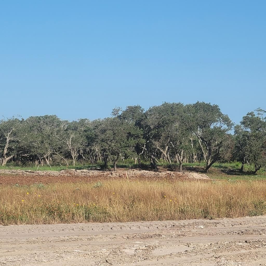 0.18 acres in Texas County