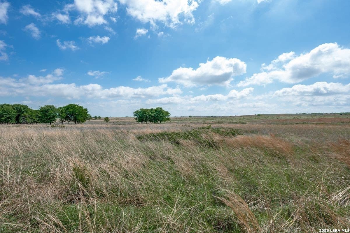 10.18 acres in Clay County gallery image 4