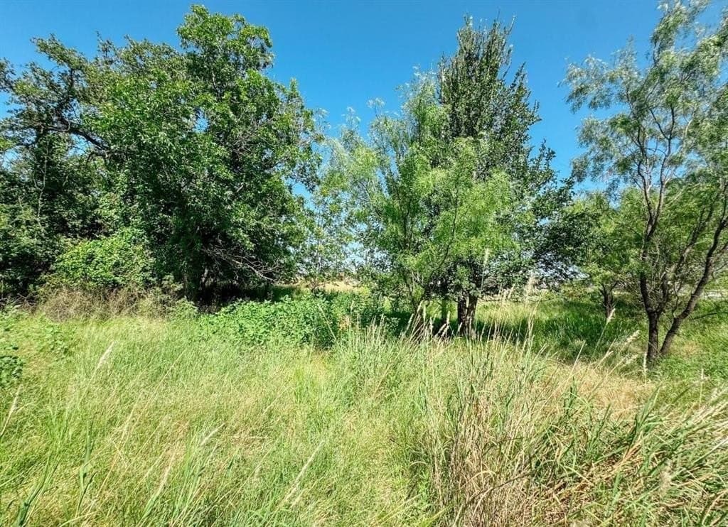 35.99 acres in Brown County gallery image 4