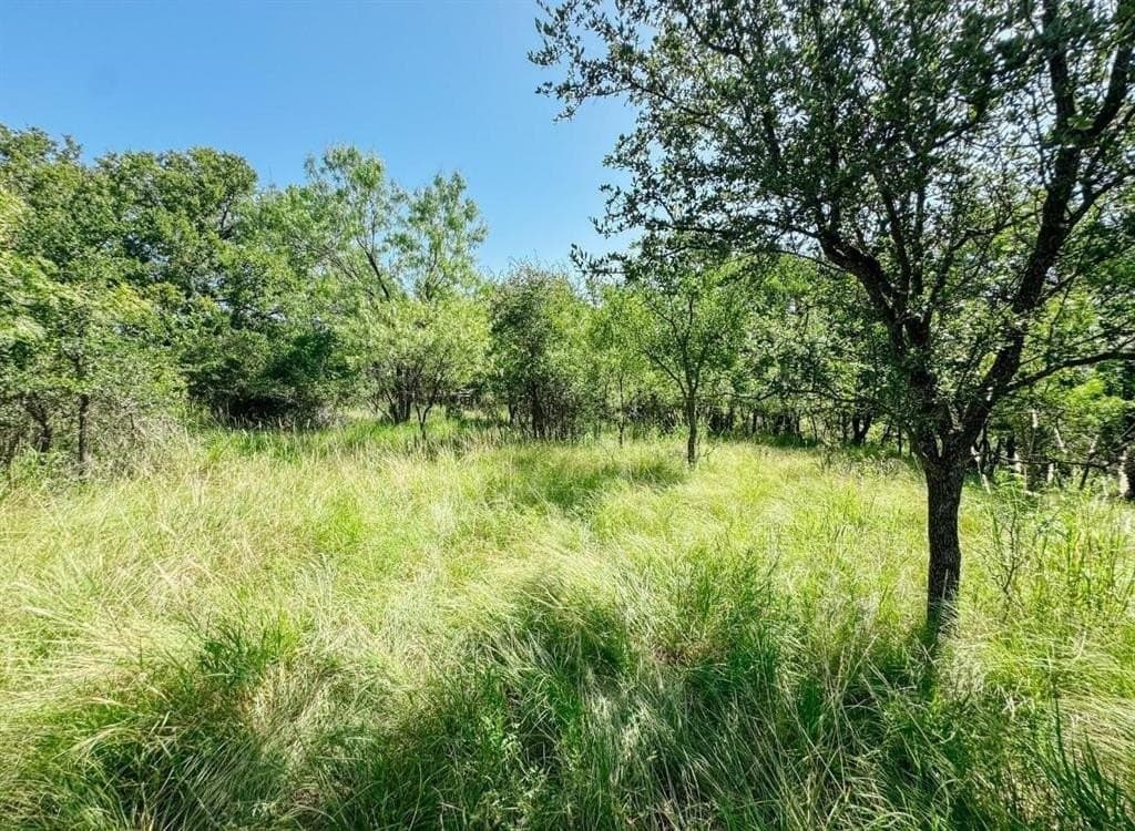 35.99 acres in Brown County gallery image 3