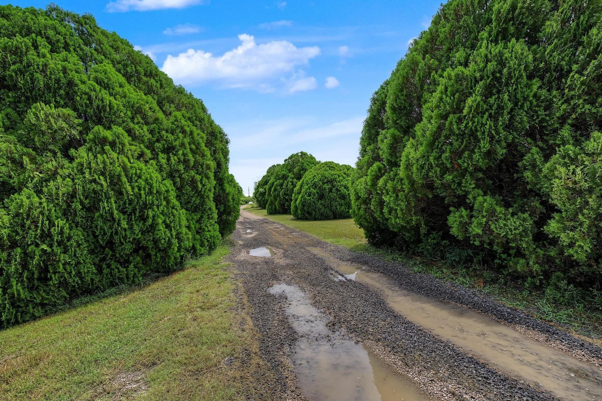 7.11 acres in Collin County - photo 14