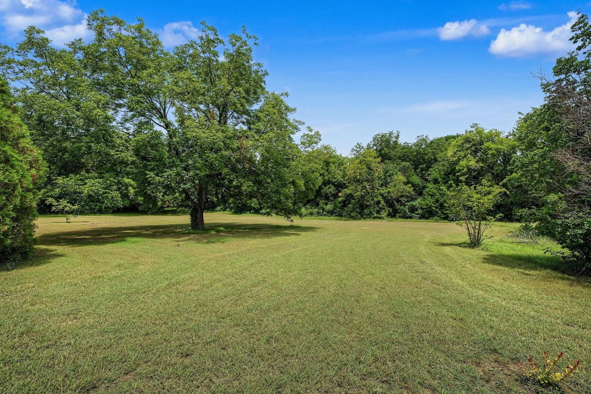 7.11 acres in Collin County - photo 8