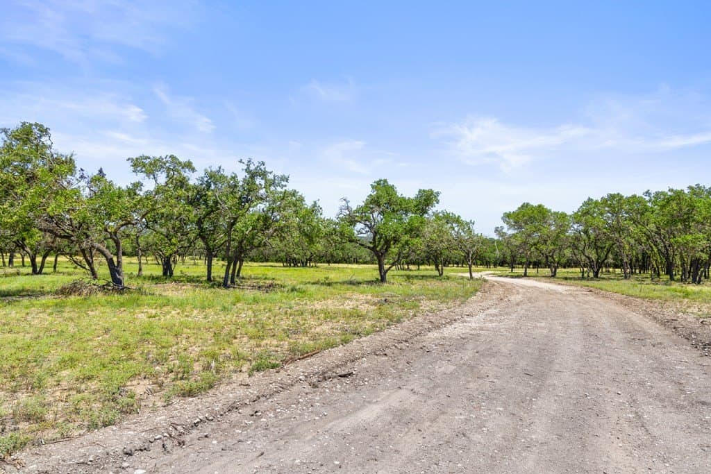 11 acres in Blanco County gallery image 4