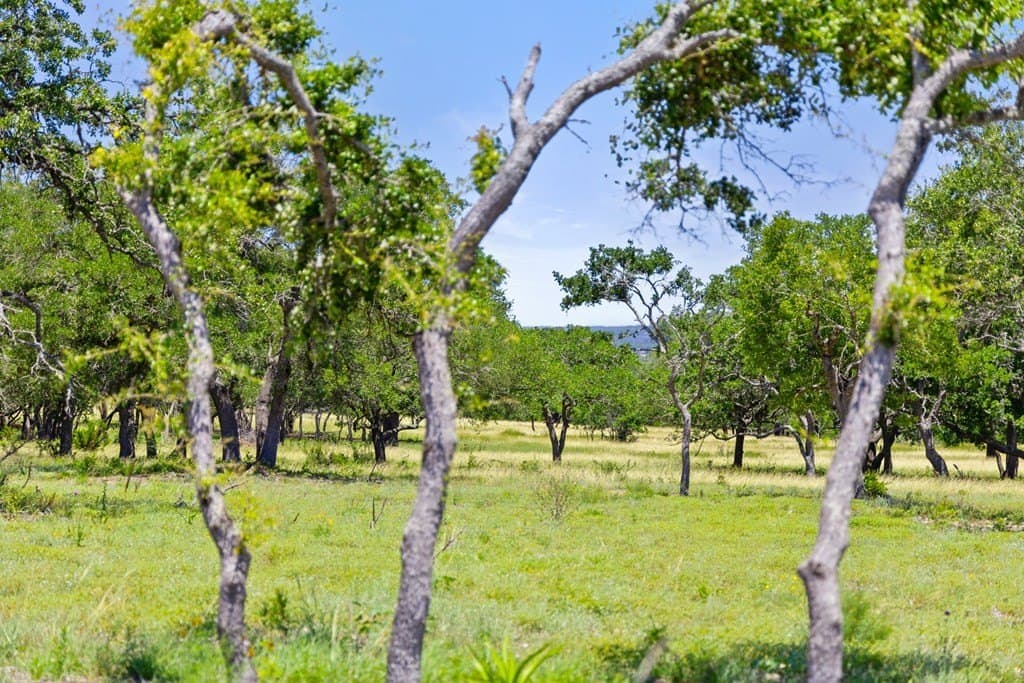 11 acres in Blanco County featured view