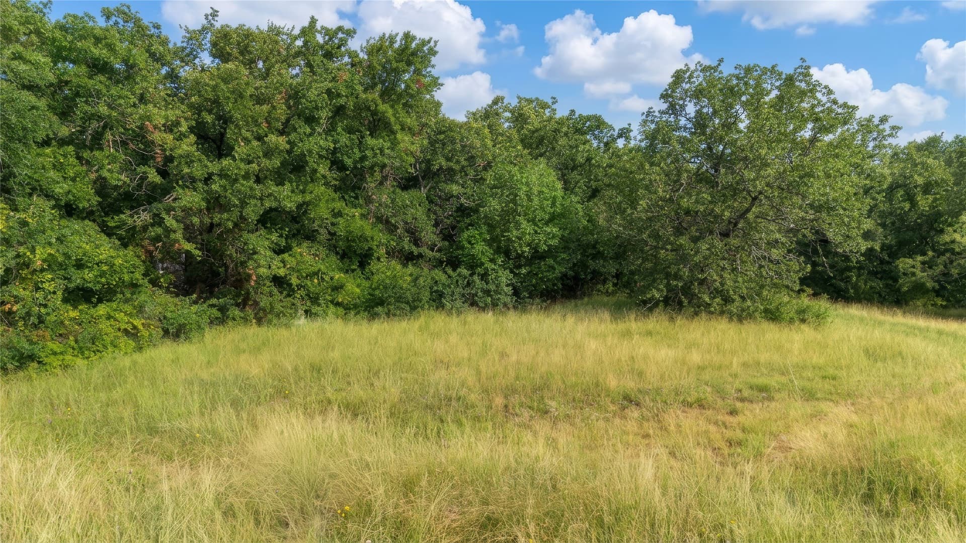 0.25 acres in Wise County - photo 11