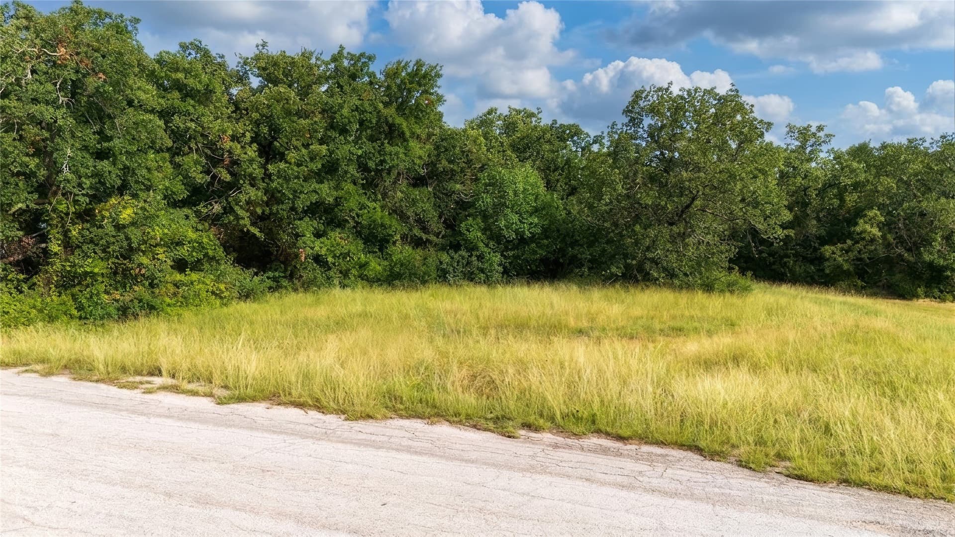 0.25 acres in Wise County - photo 10