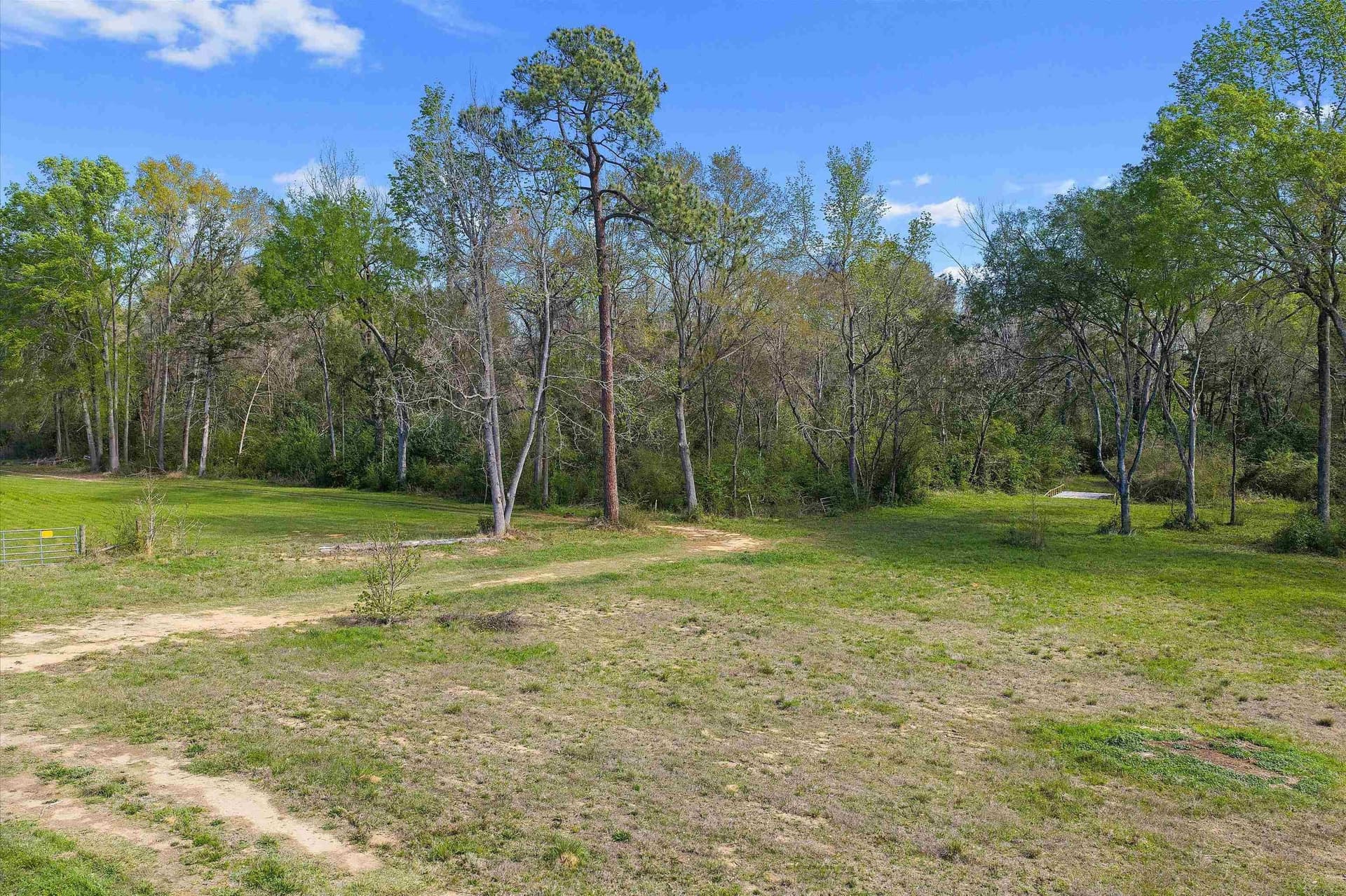 9.38 acres in Texas County - photo 6