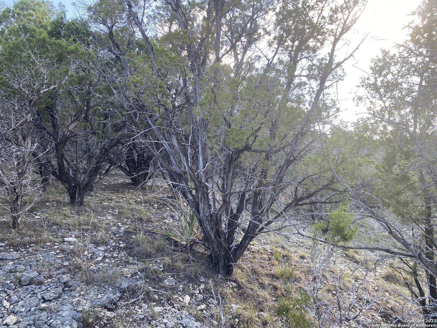 0.21 acres in Bandera County gallery image 3