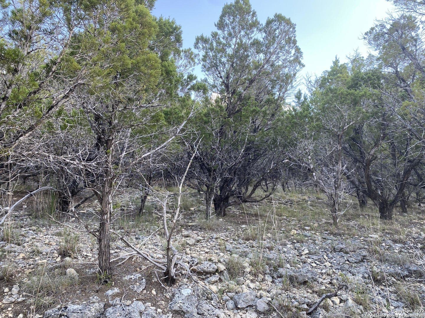 0.21 acres in Bandera County gallery image 2