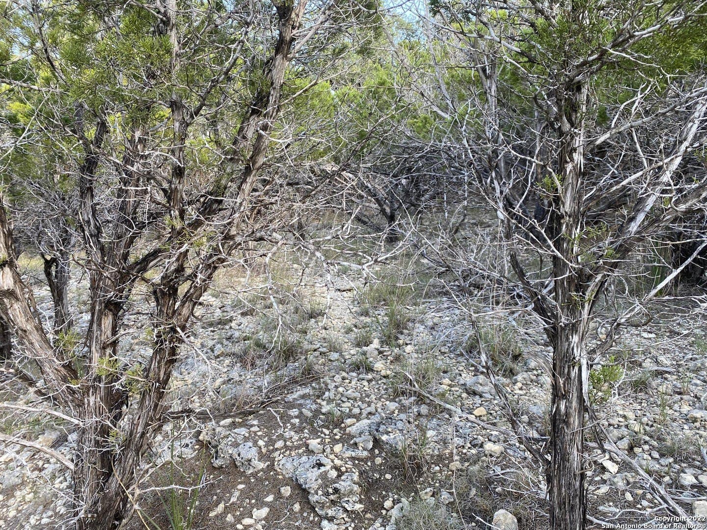 0.21 acres in Bandera County gallery image 4